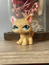 💖Petshop Chat Maine coon AUTHENTIQUE 626💖, usado comprar usado  Enviando para Brazil