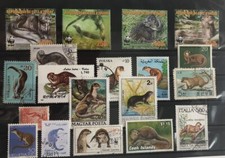 Steckkarte fischotter gebraucht kaufen  Velten