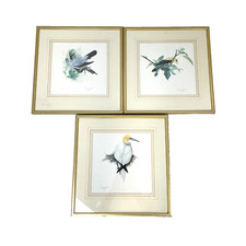 Terence lambert bird for sale  BARNSTAPLE