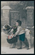 Saint bernard dog d'occasion  Expédié en Belgium