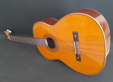 Akustik gitarre martinez gebraucht kaufen  Hannover