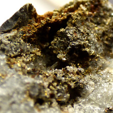 Chalcopyrite francolite flopja for sale  BLACKPOOL