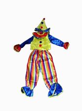 Selore clown kostüm gebraucht kaufen  Neufahrn