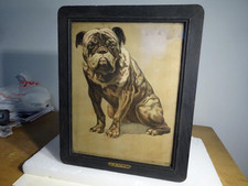 bulldog ingles comprar usado bulldog ingles comprar usado Enviando para Brazil