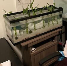 20gal long aquarium for sale  Kalamazoo