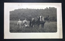 Farming horse agriculture for sale  Weatherly