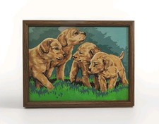 Vtg golden retriever for sale  Westminster