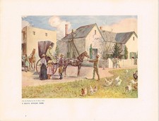 South african farm for sale  DEREHAM
