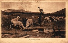 Bruzzi stefano quiete usato  Stella