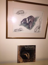 Framed print. badger for sale  HIGH WYCOMBE
