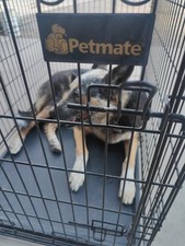 Petmate folding dog for sale  Phoenix