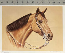 Buckskin quarter horse for sale  Sun City West