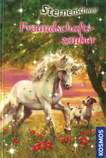 Freundschaftszauber linda chap gebraucht kaufen  Regensburg