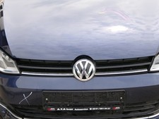 Golf grill kühlergrill gebraucht kaufen  Borgentreich