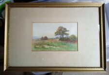 Original victorian watercolour for sale  WREXHAM