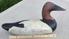 Canvasback drake duck for sale  Muncy