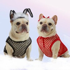Pet Supplies for sale  USA