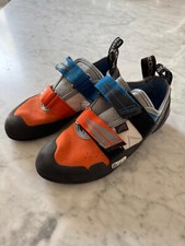 Mad rock agama for sale  Indianapolis