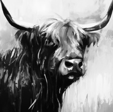 Original highland cow for sale  BROADWAY