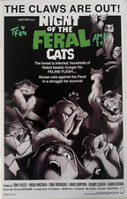 Night feral cats for sale  Oviedo