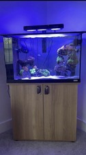 Marine aquarium fish for sale  UK