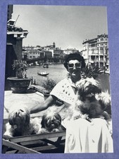 Óculos de sol LHASA APSO famoso amante de cães Peggy Guggenheim VENEZA ITÁLIA CACHORRO DE ESTIMAÇÃO, usado comprar usado  Enviando para Brazil