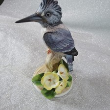 andrea birds for sale  Camas
