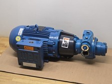 Bomba de palhetas deslizantes Blackmer, XF1C, 41RS0122E0000, motor Weg 00112XT3E145TC, 1 HP comprar usado  Enviando para Brazil