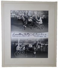 Vtg harness horse for sale  Stockbridge