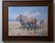 Horses farmer 51cm for sale  DUNDEE