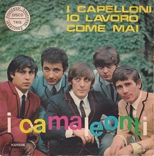 Camaleonti capelloni lavoro usato Camaleonti capelloni lavoro usato  Bassano del Grappa