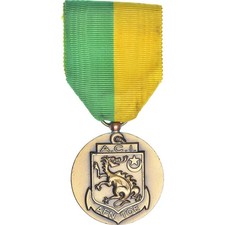Anciens combattants indochine d'occasion  Lille-