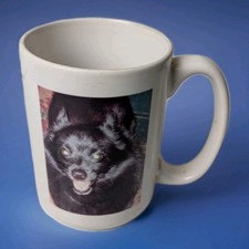 Schipperke dog photo for sale  Palm Coast