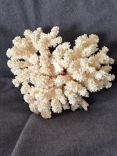 Natural pacific marine for sale  Deerfield