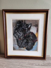 Scottie scottish terrier for sale  THIRSK