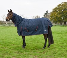 Rhinegold aspen thor for sale  BLANDFORD FORUM