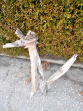 Außergewöhnliche skulptur sc gebraucht kaufen  Riedering