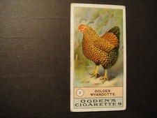 Ogdens fowls pigeons for sale  GRIMSBY