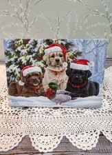 Abraham hunter holiday for sale  Martinsburg