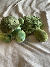 Petting zoo turtle for sale  Cincinnati