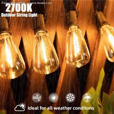 100ft outdoor string for sale  Duluth
