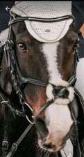 Trense cheval luxe gebraucht kaufen  Eberswalde-Umland