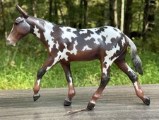 Breyer buckeye dressage usato  Spedire a Italy
