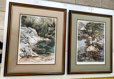 Two judy boyes for sale Two judy boyes for sale  PRESTON