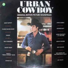 2xlp jimmy buffett gebraucht kaufen  Deutschland