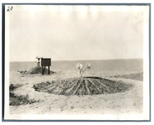 Algérie cie. transsaharienne d'occasion  Pagny-sur-Moselle