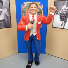 Vince mcmahon vintage for sale  Alburtis