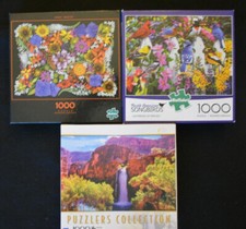 Three 1000 piece for sale  Woodstown