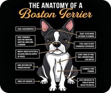 Anatomy boston terrier for sale  Newark