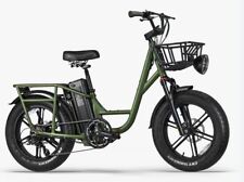 Bicicletta elettrica fat usato  Napoli